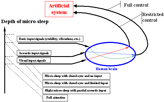 Microsleeps_graf2.gif