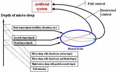 Microsleeps_graf2.gif